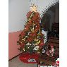 Beatriz Bastidas's Christmas tree from Barquisimeto, Venezuela