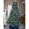 Weihnachtsbaum von Lana Owens (Houston, Texas, USA)