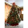 Weihnachtsbaum von Heidi Lilla (Stevens Point, WI, USA)