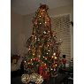 Familia Munoz's Christmas tree from Calgary, Canada