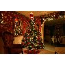 Árbol de Navidad de Linda MacDonald (Dartmouth, Nova Scotia, Canada)