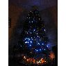 Weihnachtsbaum von Tristano D (Canada)