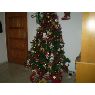 Familia Gordillo's Christmas tree from Santa Cruz de Tenerife, España