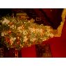 Nathan Partlow's Christmas tree from Arkansas, USA