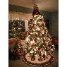 Weihnachtsbaum von Jan Dalton (Liverpool, NY, USA)