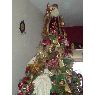 Sergio Montoya Villanueva's Christmas tree from Veracruz, México