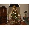 Weihnachtsbaum von Maggie Franco (Atlanta, Georgia, USA)