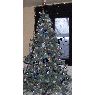 Janssen Jocelyne's Christmas tree from Julemont - Herve, Belgique
