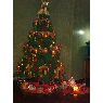 Weihnachtsbaum von Sonia Galvan (Lima, Peru)