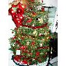 Lligniere's Christmas tree from Gujan Mestras, France