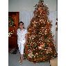 Gicella Pino's Christmas tree from Caracas, Venezuela