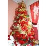 Pedro Meléndez's Christmas tree from Barquisimeto, Venezuela