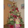 Weihnachtsbaum von Familia Melendez Finol (Maracaibo, Venezuela)
