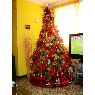 Weihnachtsbaum von Cecilia Maria Sojo (Venezuela)