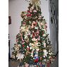 Janette Rodriguez G.'s Christmas tree from Cali, Colombia