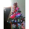 Rodrigo's Christmas tree from Merida, Venezuela