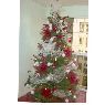Vanessa Mendez's Christmas tree from Maracay, Venezuela