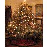 Linda 's Christmas tree from Long Island, NY, USA