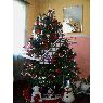 Árbol de Navidad de Adriana Mora Roberts (Carolina del Norte, USA)