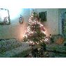 Avila Martinez's Christmas tree from Nayarit, Mexico