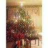 AC's Christmas tree from Ohio, United States