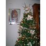 Familia Villasmil Mendoza's Christmas tree from Venezuela