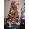 Yolimar Rodriguez's Christmas tree from Barinas, Venezuela