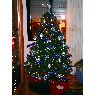 Belen's Christmas tree from Logroño, España