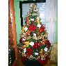 Carlos's Christmas tree from Logroño