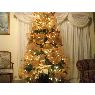 Fanny Chinchilla's Christmas tree from Honduras