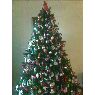 Weihnachtsbaum von Lisa Stansbury (Neptune, NJ, USA)