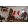 Carmen Gloria's Christmas tree from Annapolis, MD., USA