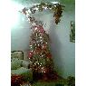 Daisy Gonzalez's Christmas tree from Venezuela 
