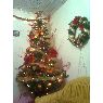 Diurviz Hernadez's Christmas tree from Caracas, Venezuela