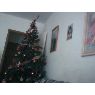 Cristian Santana Lugo's Christmas tree from Tenerife, España