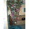 Weihnachtsbaum von Summer Queen-Layne (Largo, Fl, USA)