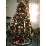 Yenisel Gallardo 's Christmas tree from Colon, Panama