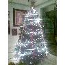 Nataly Beltran's Christmas tree from Estado de México, México