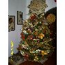 Árbol de Navidad de Rosalba Montenegro (Guarico, Venezuela)