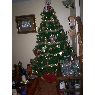 Mila Mora Cortes's Christmas tree from Antofagasta, Chile