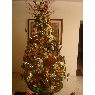 Maria Eugenia Chirinos's Christmas tree from Zulia, Venezuela