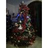 Weihnachtsbaum von Thais R. Medina De Liloia (Venezuela)