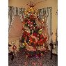 Familia Vilchez Nava's Christmas tree from Cabimas, Venezuela