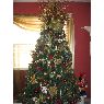 Weihnachtsbaum von Maggie Damaso (Miami, Florida, USA)