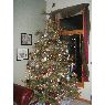 Árbol de Navidad de Sher Purcell (Burlington, WI, USA)