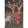 Árbol de Navidad de Michelle Hayes (Bradenton, FL, USA)