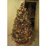 Sara Spogliarich's Christmas tree from Trieste, Italia