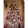 Thomas Ray Stapp's Christmas tree from Conyers, Ga, USA