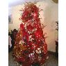 Weihnachtsbaum von Marina Castillo (Venezuela)