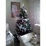 Weihnachtsbaum von Cristina Raileanu (Zaragoza, España)